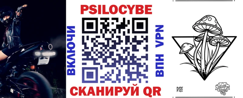 Псилоцибиновые грибы Psilocybine cubensis  Циолковский 